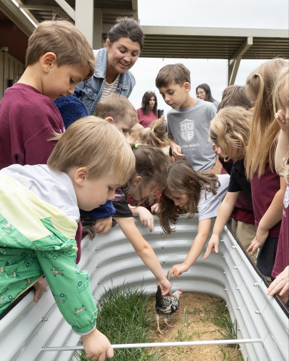 CBAstem's tweet photo. 🐣🥚 Preschool students kicked off their studies on birds and life cycles by getting up close with some amusing chickens and passing around real eggs in class! Students loved watching the birds eat, especially when they fed them worms. Big curiosity starts with little moments.🪱 https://t.co/bftDjZ8mFs