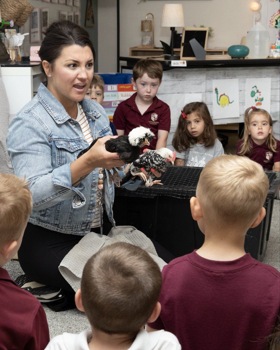 CBAstem's tweet photo. 🐣🥚 Preschool students kicked off their studies on birds and life cycles by getting up close with some amusing chickens and passing around real eggs in class! Students loved watching the birds eat, especially when they fed them worms. Big curiosity starts with little moments.🪱 https://t.co/bftDjZ8mFs