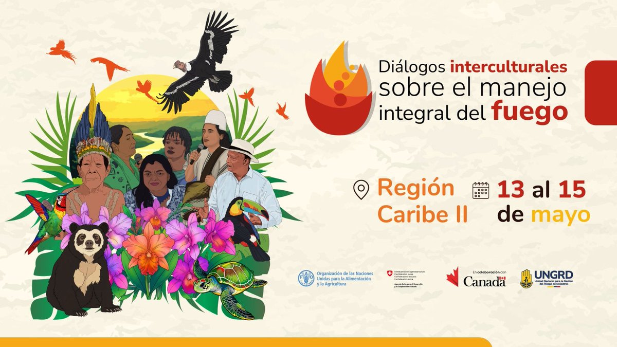 FAO_Colombia's tweet photo. Este 13, 14 y 15 de mayo estaremos en Barranquilla en el Diálogo Intercultural de Manejo Integral del Fuego #DIMIF🔥 Caribe II,m. Comunidades, autoridades, entidades y expertos dialogarán sobre prevención, cultura y gobernanza del fuego en los territorios#EscuchaElFuego 👇 https://t.co/0bA5XDwIck