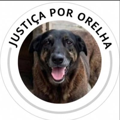 bernas tweet media