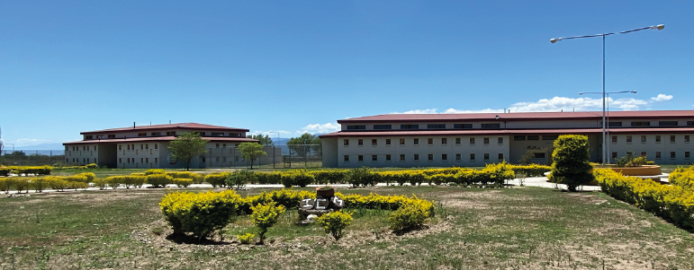 PPNArg's tweet photo. Una expulsión anticipada por razones humanitarias permitiría el reencuentro de una madre venezolana detenida en Argentina con su hijo de 2 años, quien permanecía en Colombia al cuidado de sus abuelos paternos, personas mayores con problemas de salud.

La intervención articulada de la PPN con organismos nacionales e internacionales, defensorías públicas y representaciones diplomáticas, logro superar los obstáculos documentales, migratorios y consulares que impedían concretar la medida.

Más información ⤵️
https://t.co/LlCMqR5bAL