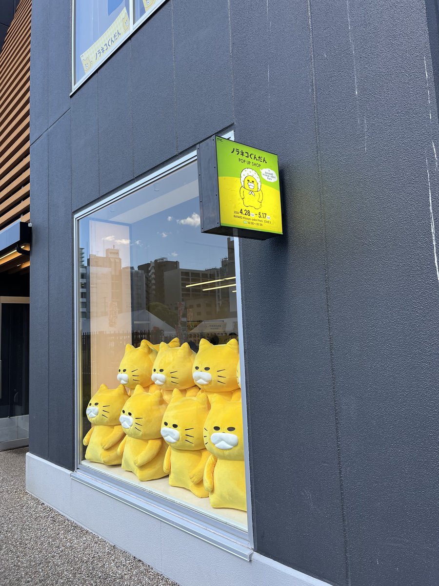 久屋大通公園で5月17日まで

ノラネコぐんだん ポップアップショップ実施中です✨️