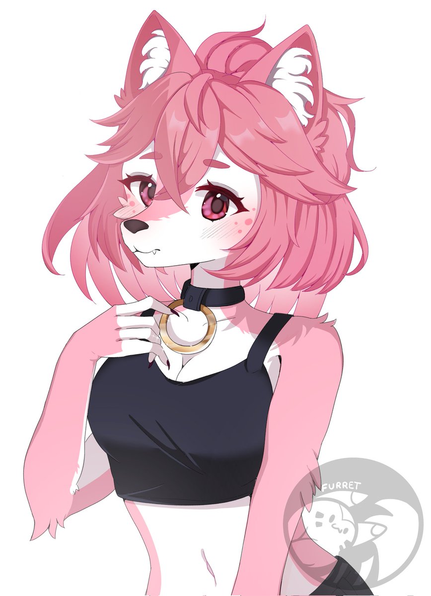 Furret Online tweet media