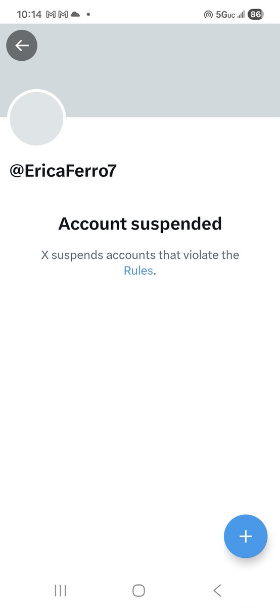 Erica Ferro tweet media