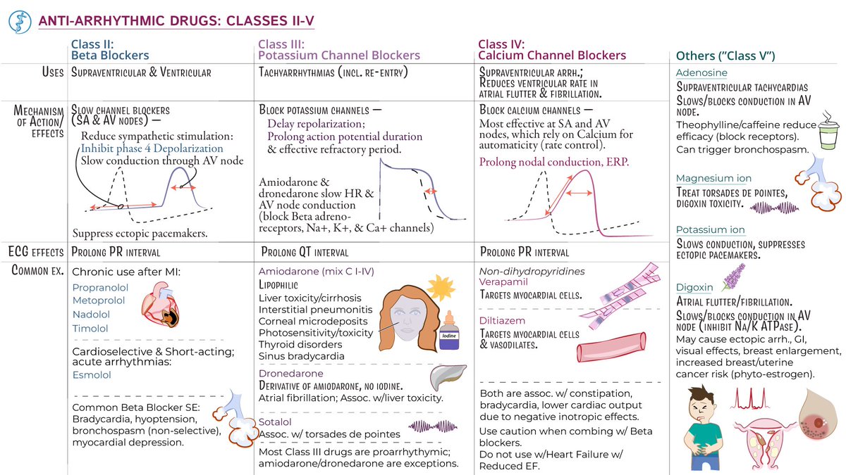Ph_LamaAlghamdi's tweet photo. Antiarrhythmic Drugs 💊🫀 https://t.co/9w62neNLj7