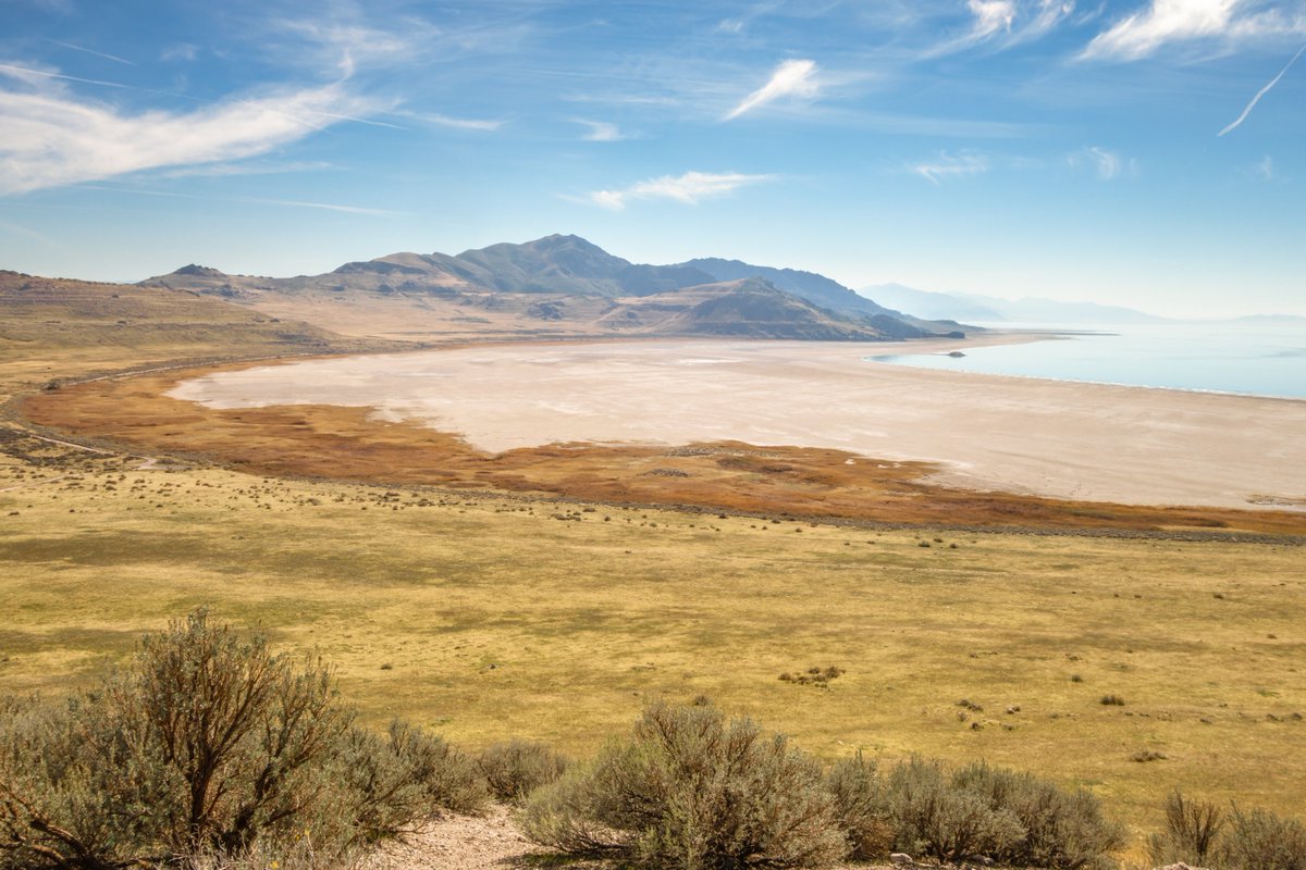American Conservation Coalition tweet media
