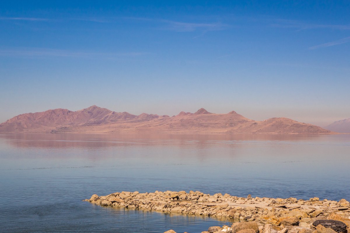 American Conservation Coalition tweet media