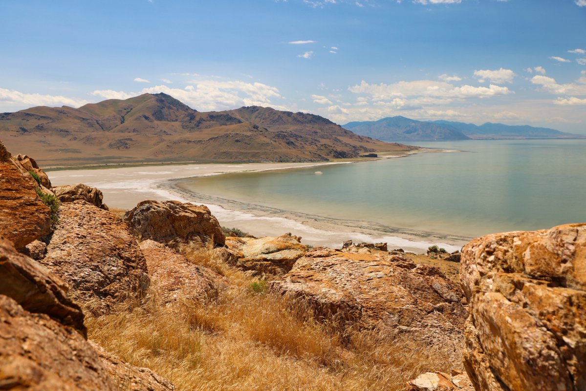 American Conservation Coalition tweet media