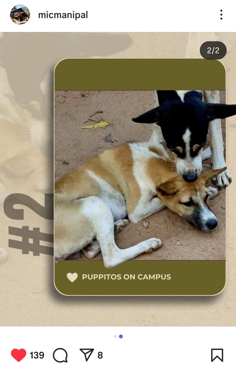 adigawrites's tweet photo. Hypocrisy at its best. 
Do they love dogs? Only during admission season.
After that? Starve them to death!
#MIC @Manekagandhibjp @PetaIndia @MAHE_Manipal @micmanipal https://t.co/aUEKBFjr0y