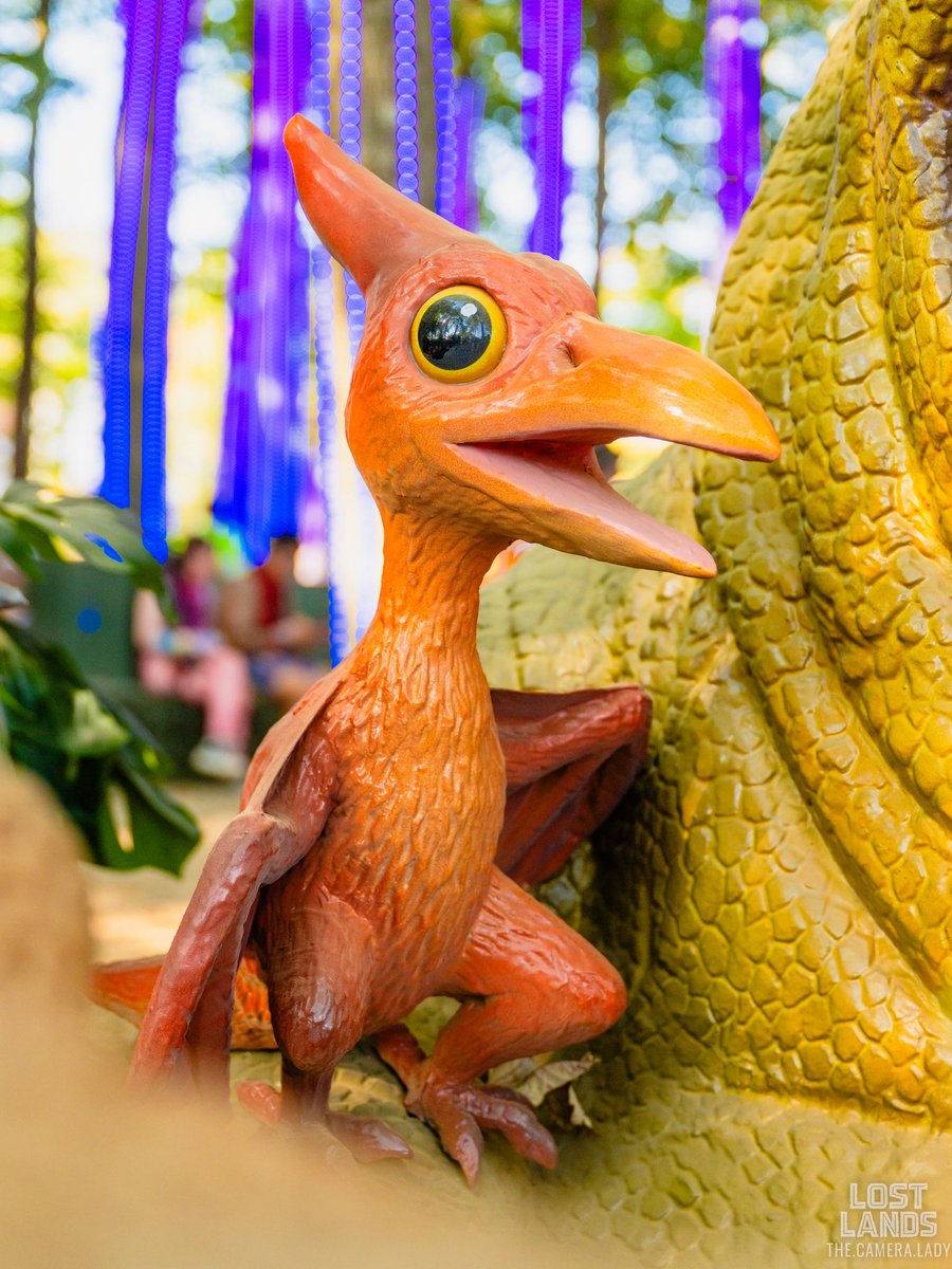 Lost Lands Festival tweet media