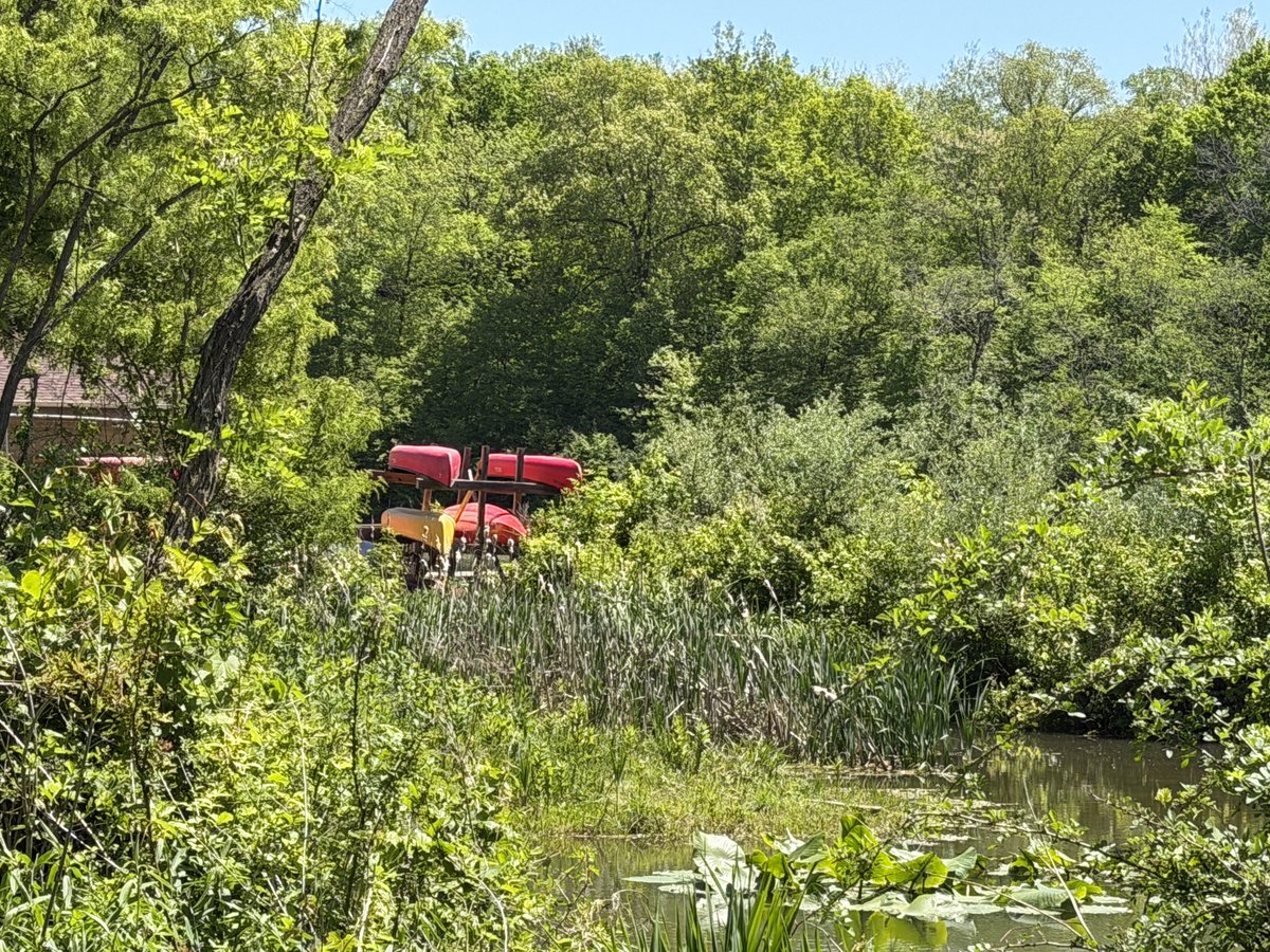 Steven_Wayne_'s tweet photo. #Kickapoo #KickapooLanding #KickapooStarPark #KickapooStatePark #Illinois #OakwoodIllinois #DanvilleIllinois #IllinoisRunning https://t.co/jR5nFuwWND