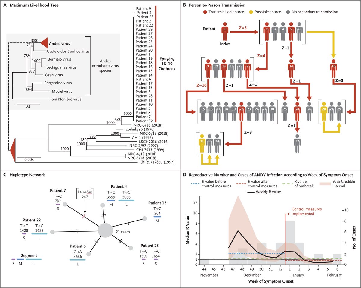 quay_dr's tweet photo. In the NEJM report of the 2018–2019 Epuyén, Argentina outbreak:

• 34 confirmed cases
• 11 deaths — a 32% case-fatality rate
• One likely rodent spillover event seeded the outbreak
• Person-to-person spread then propagated the chain
• Three superspreaders accounted for ~two-thirds of cases
• Transmission occurred mainly after close, prolonged contact
• The birthday party/wake sequence showed how social behavior, not casual community spread, amplified the outbreak
• Genetic sequencing supported a single linked outbreak strain

This is not COVID. It is not efficiently airborne in the population.

But it is also not “just rodent exposure” once Andes virus enters a close-contact human network.

The correct public-health posture is disciplined, not dramatic: early diagnosis, isolation of symptomatic cases, respiratory precautions for caregivers, contact tracing, and monitoring through the long incubation window.
Source: https://t.co/SI5urCSrNr