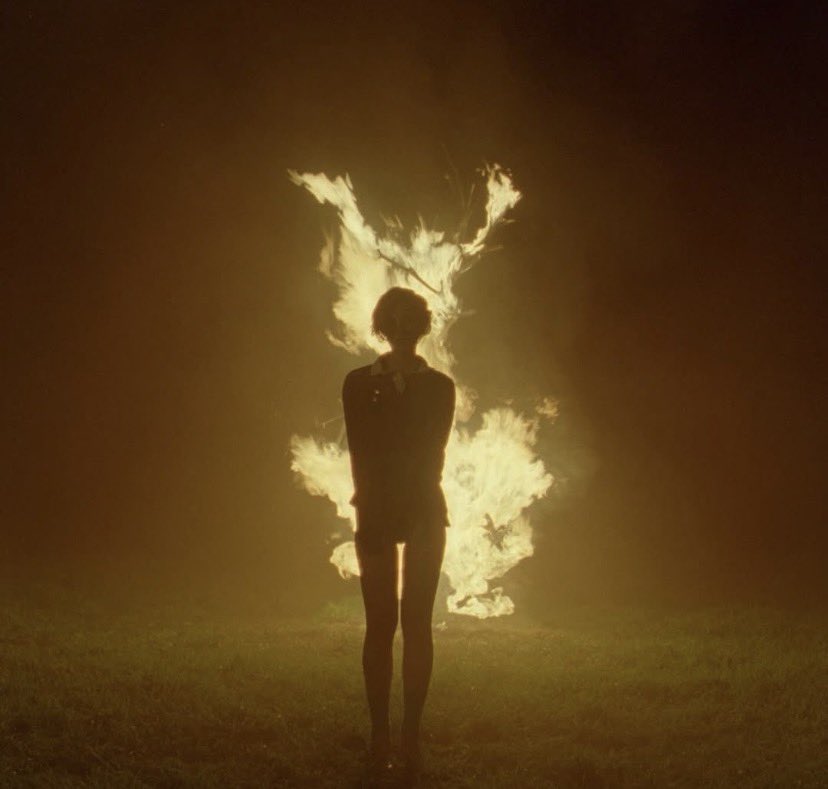 Sparks ‏ᥫ᭡ tweet media