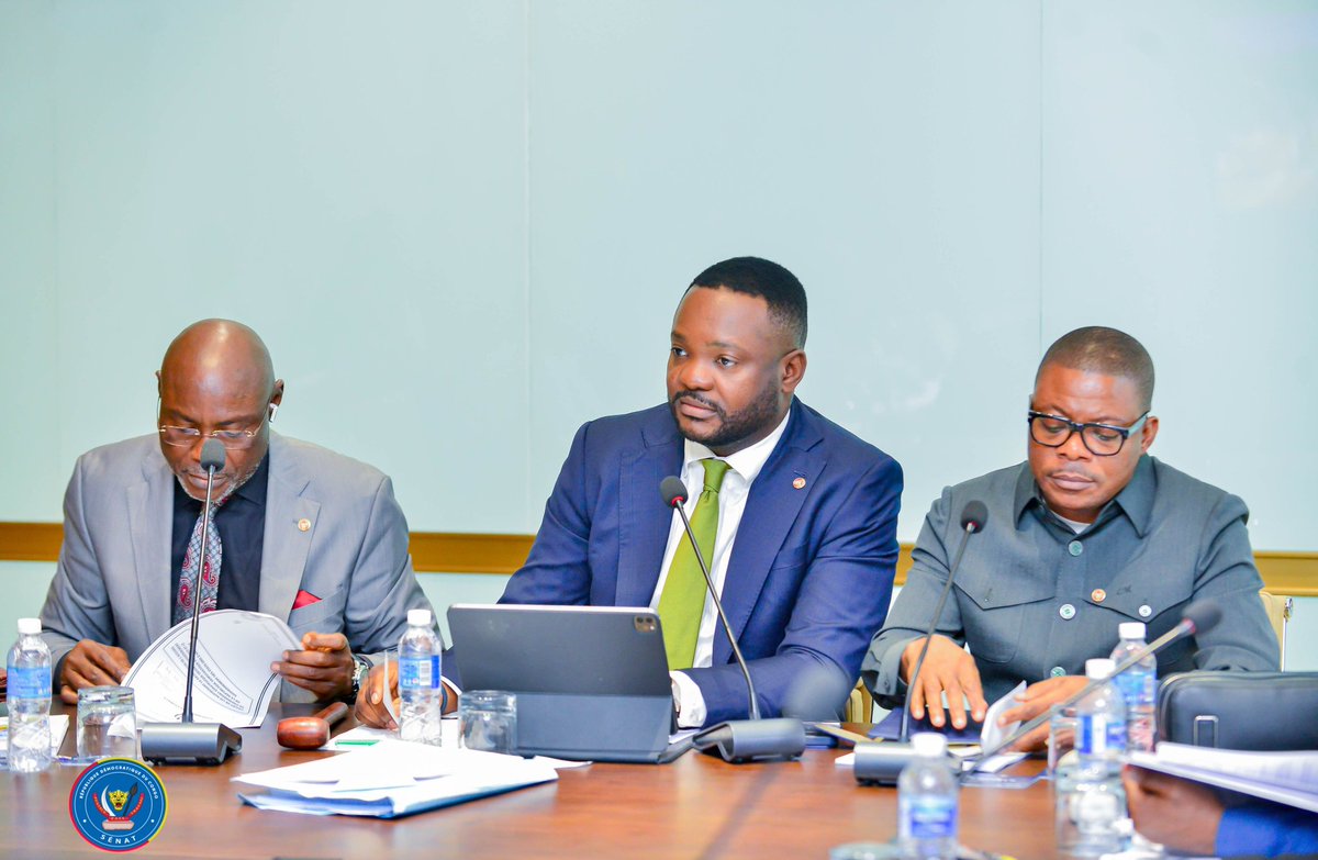 Sénat RDC🇨🇩 tweet media
