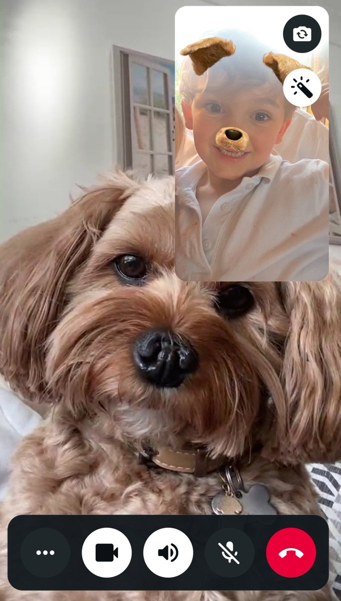 JemwithaJ's tweet photo. 🐶&amp;🦴 https://t.co/WJRzVOcUfN