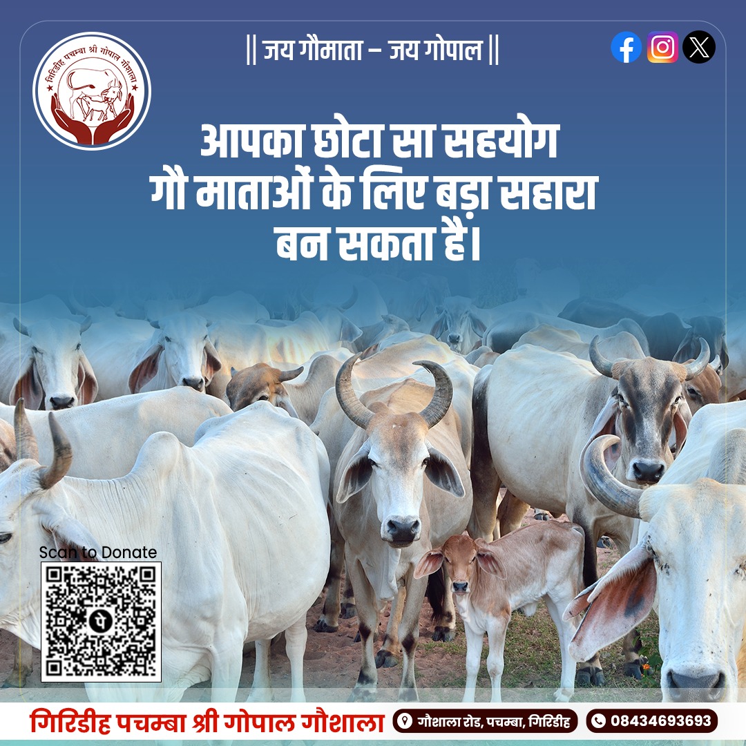 gaushalagrd's tweet photo. 🐄 || जय गौमाता - जय गोपाल || 🙏

गौ सेवा से बढ़कर कोई पुण्य नहीं।
आपका छोटा सा सहयोग बेसहारा गौ माताओं के लिए बड़ा सहारा बन सकता है।

📍 गिरिडीह पचम्बा श्री गोपाल गौशाला
गौशाला रोड, पचम्बा, गिरिडीह
📞 08434693693

#जयगौमाता #Gaushala #GauSeva #DonateForCause #Giridih #Pachamba https://t.co/5bfSSLTFl2