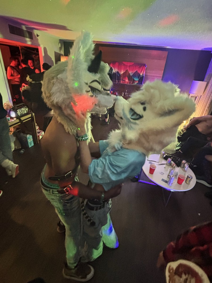 zeropup_'s tweet photo. Boop #fwa https://t.co/bj0owoE4aX