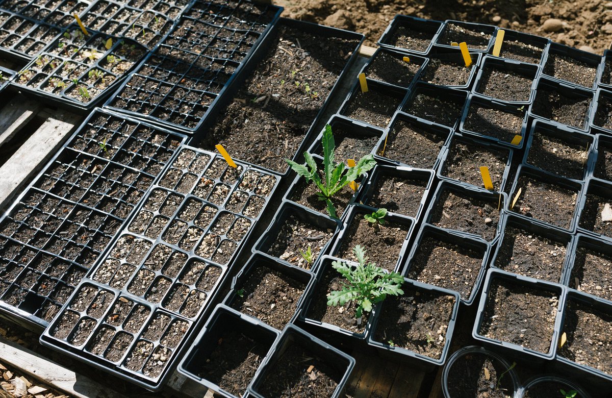 Portland Bureau of Planning and Sustainability tweet media