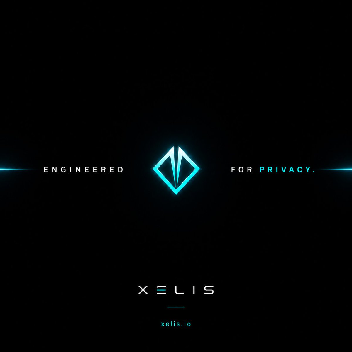 Xelis-Wave tweet media