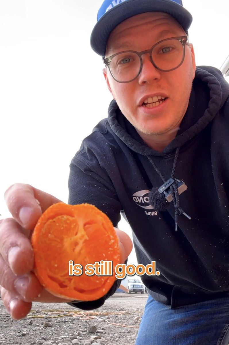 BeyondFoam's tweet photo. What happens when you seal an orange in spray foam for 1 week?

No air transfer equals no breakdown of the insides. Good for the orange and even better for your house 🏡 

https://t.co/eBt7NJwcbA https://t.co/o3RTYsLQ5f