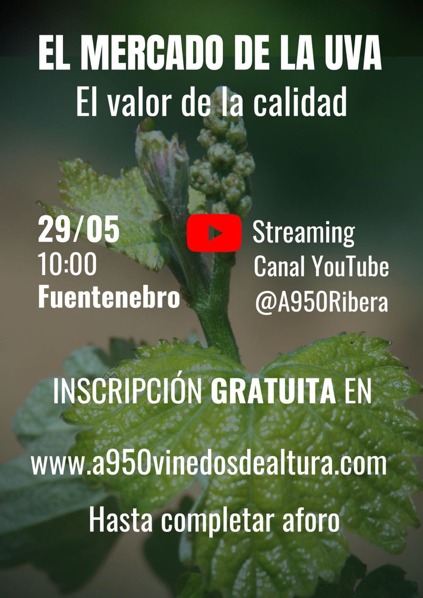 Bodegas de Moradillo tweet media