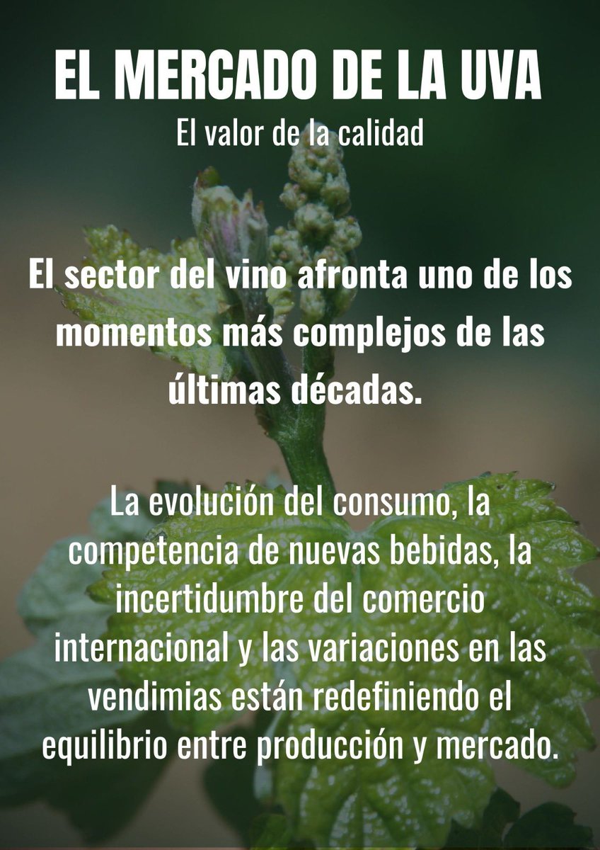 Bodegas de Moradillo tweet media
