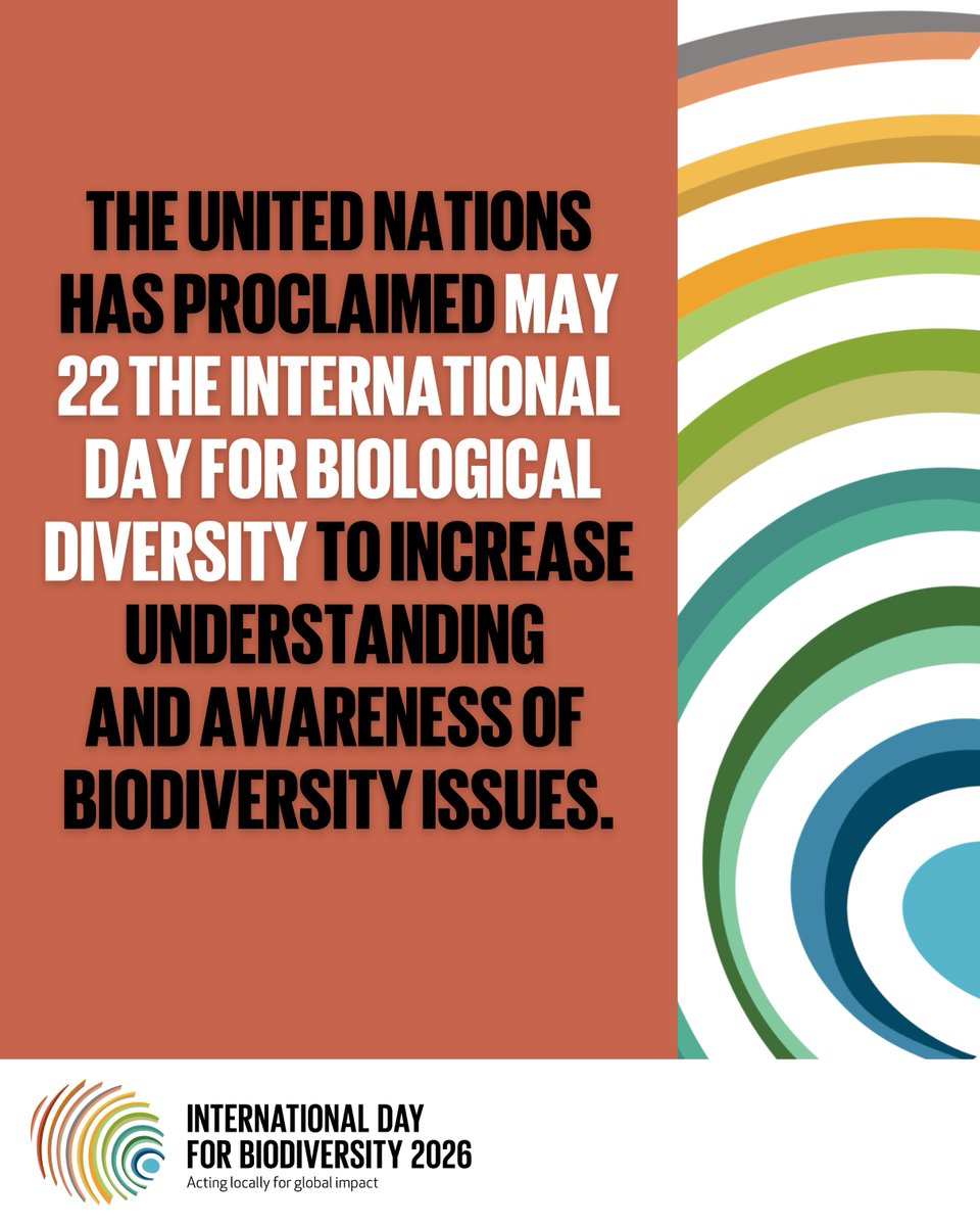 UNBiodiversity's tweet photo. #BiodiversityDay (22 May), proclaimed by the UN, raises awareness of biodiversity worldwide

This year’s theme: “Acting locally for global impact.”

However you take part — your action matters 🌍

Visit the IDB website 🔗 https://t.co/XXR8sDuQT0

#ForNature #KMGBF https://t.co/uEJcNRKpdp