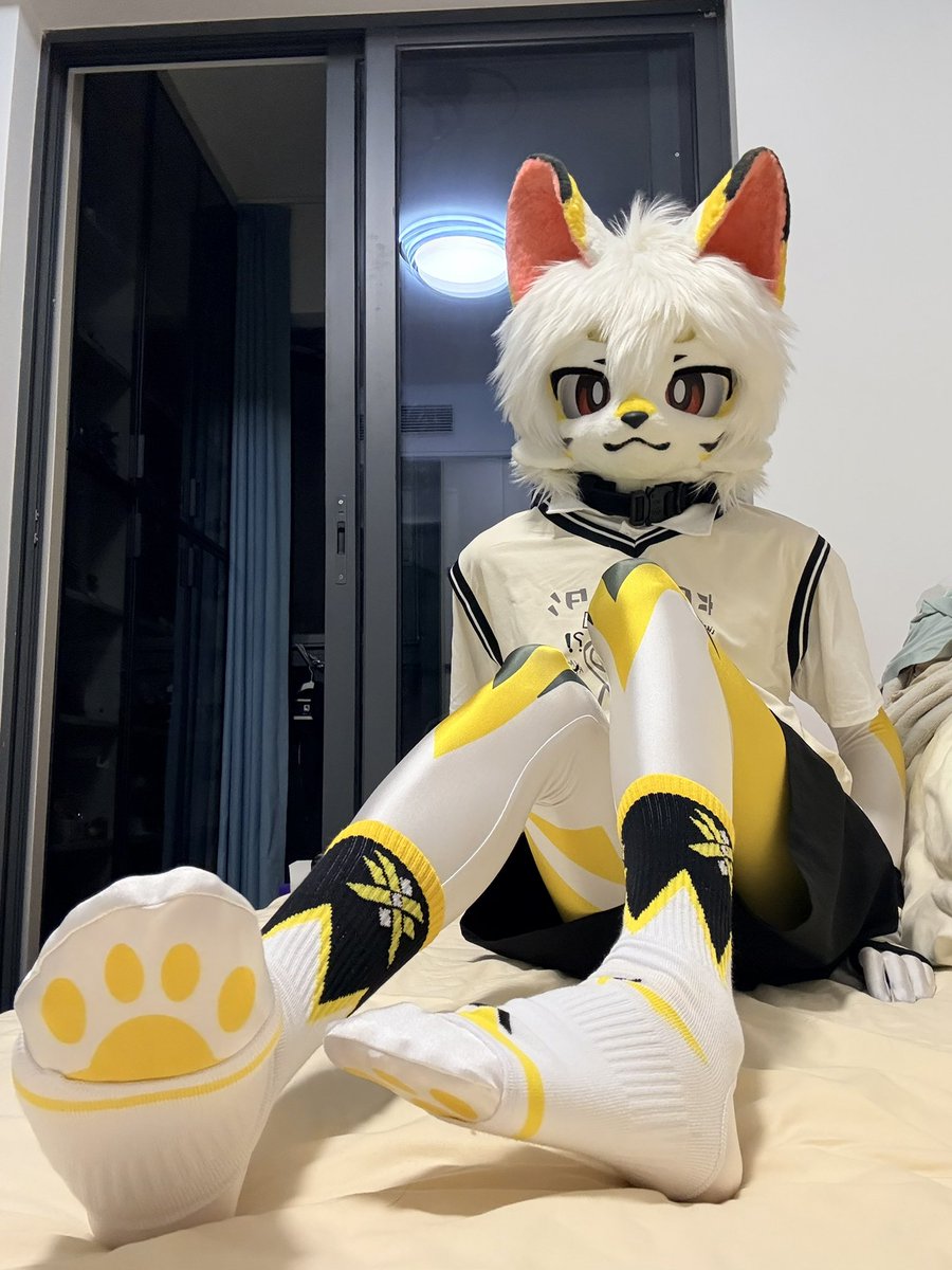 白晓焰 tweet media