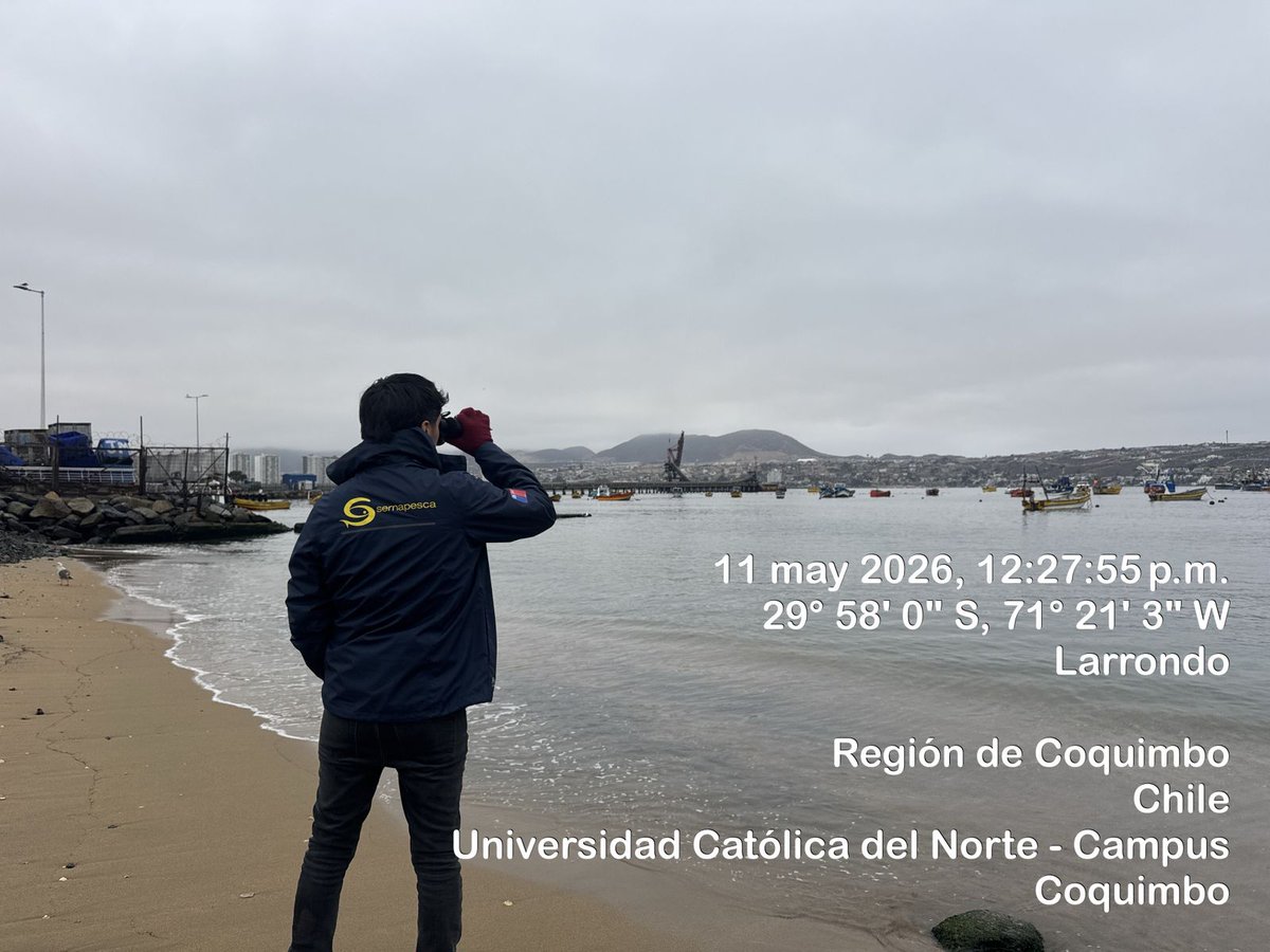 Servicio Nacional de Pesca y Acuicultura 🇨🇱 tweet media