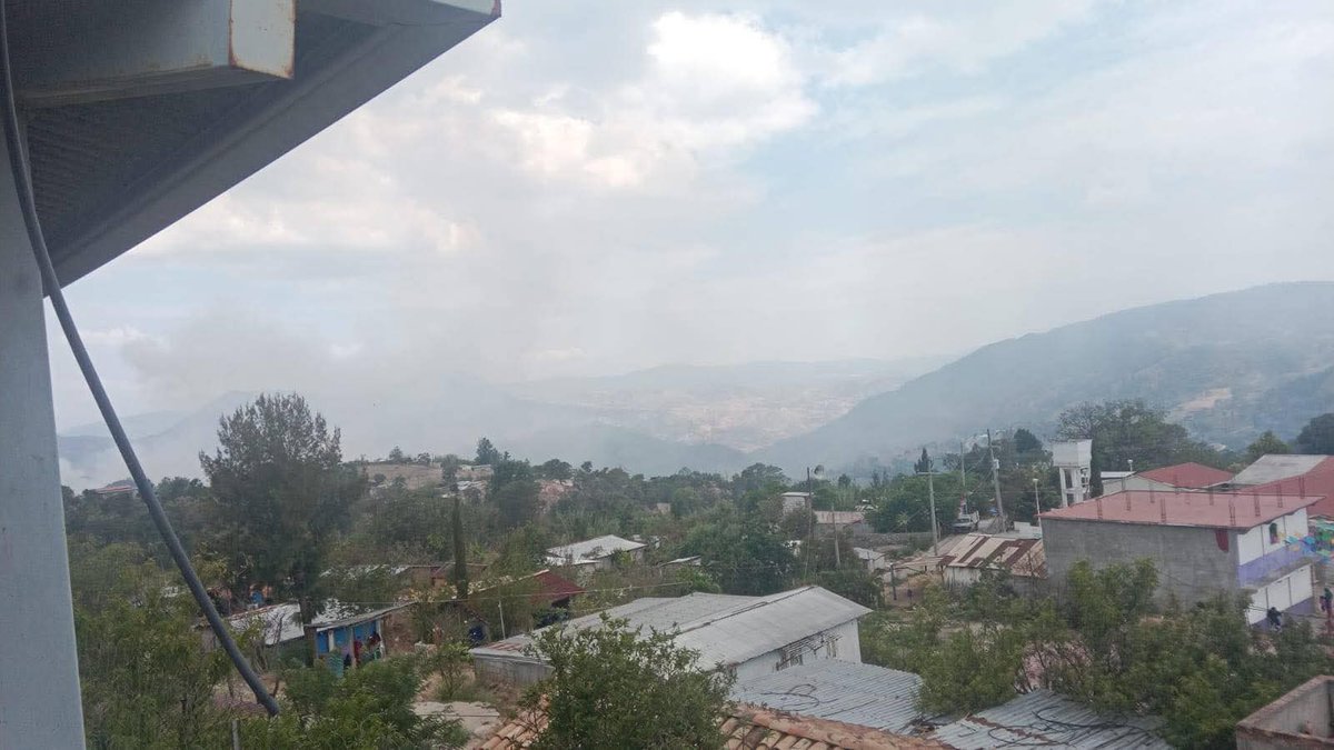 CNI México tweet media