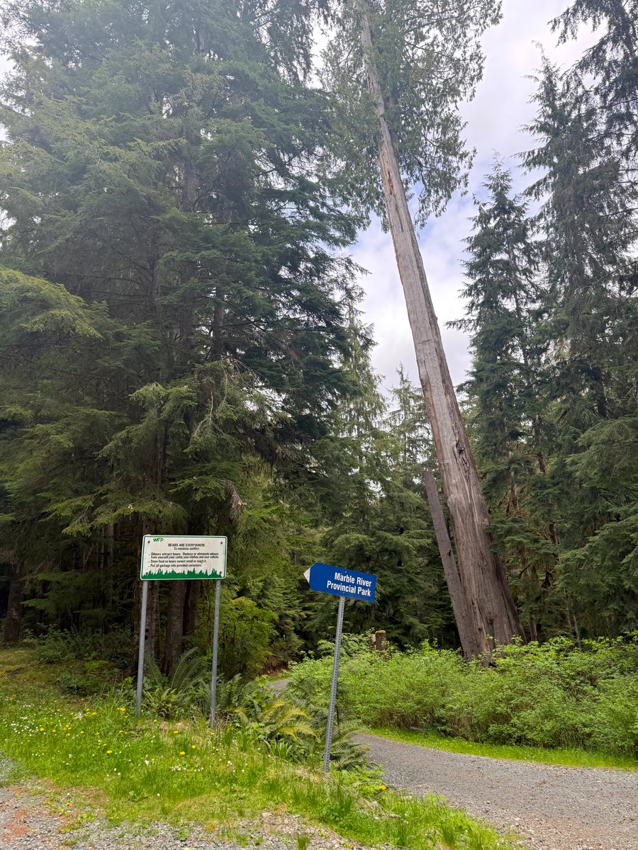 Western Forest Products tweet media
