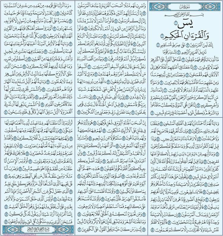 danah tweet media