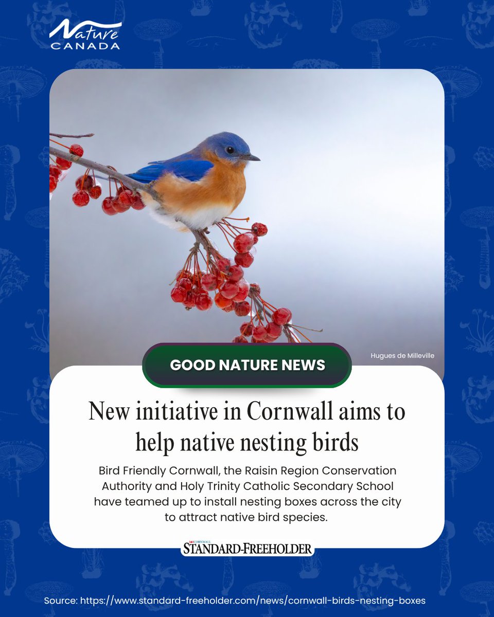 NatureCanada's tweet photo. Some good Nature News to start your week! https://t.co/zoDmAq6wcP