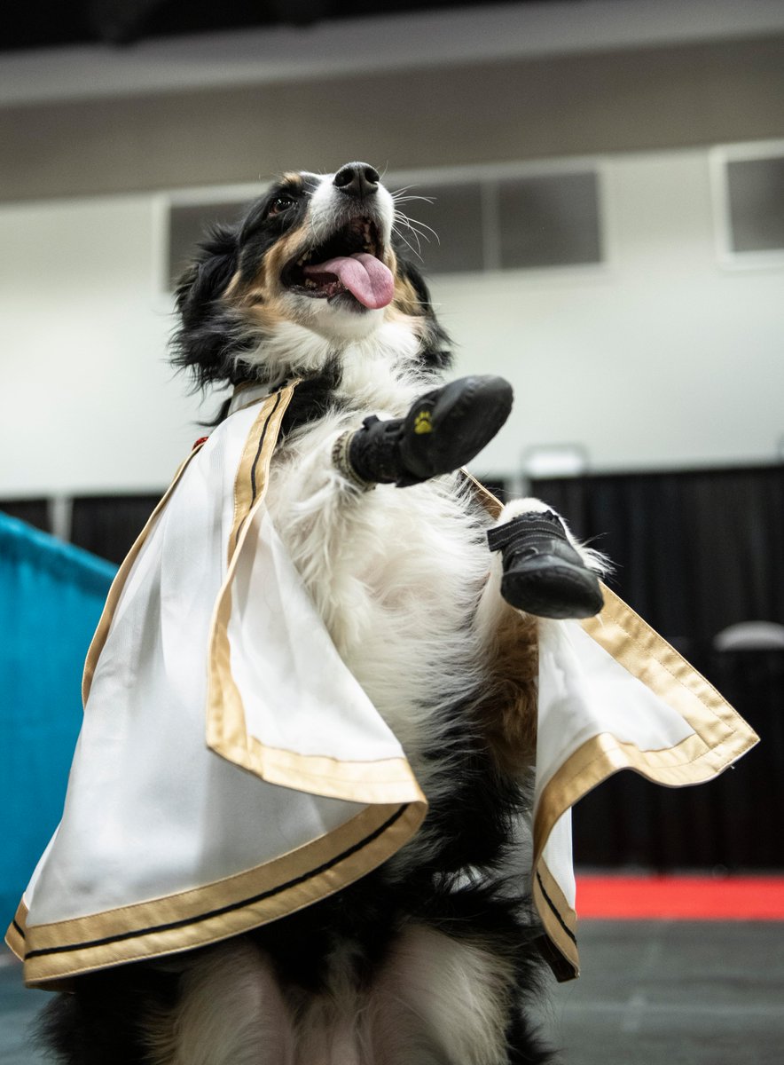 FAN EXPO Vancouver tweet media