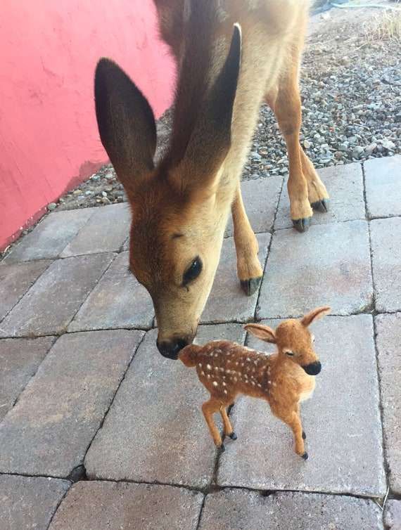 (CHECK PINNED) Deer in Places they Shouldn't Be tweet media