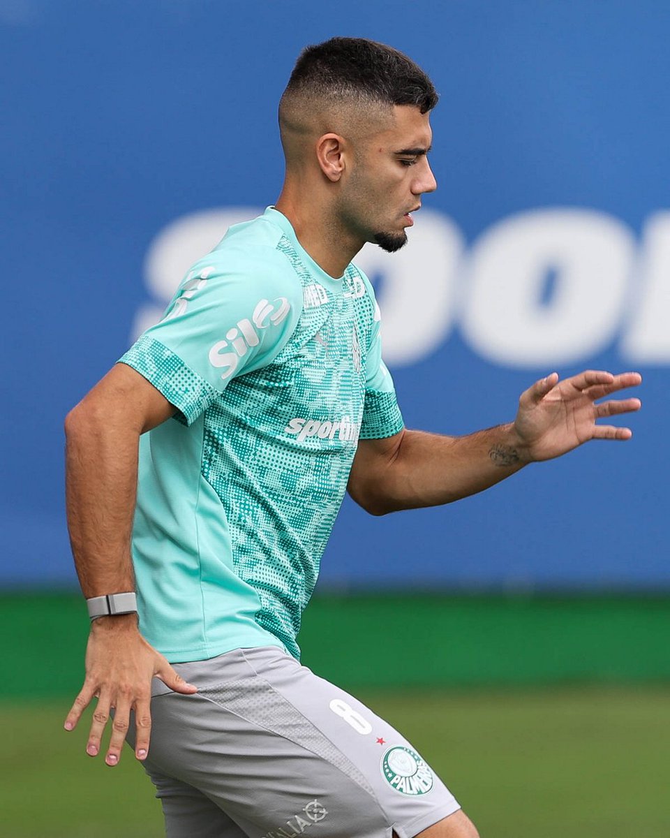 SE Palmeiras tweet media
