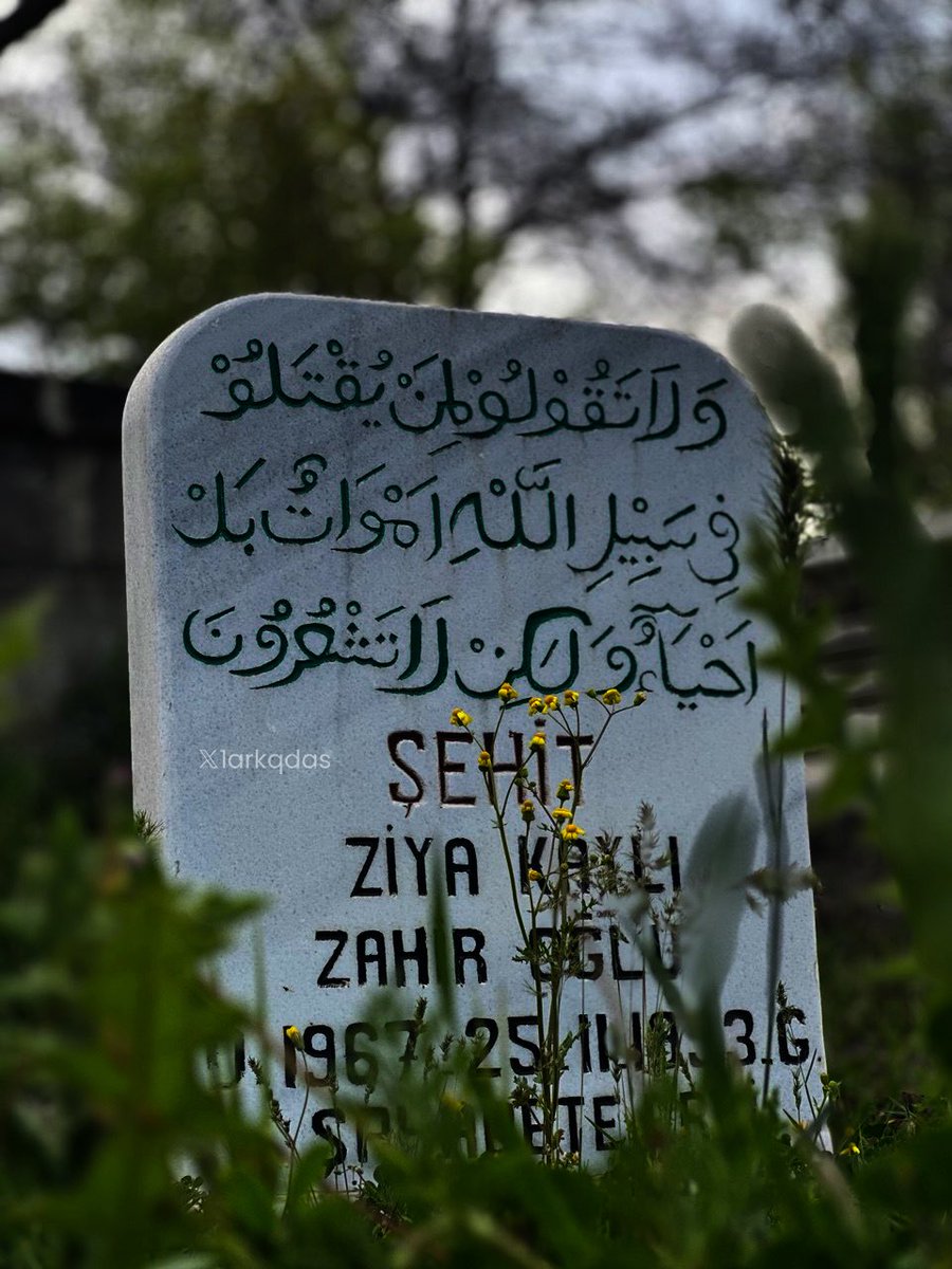 Mücteba 𓂆 tweet media