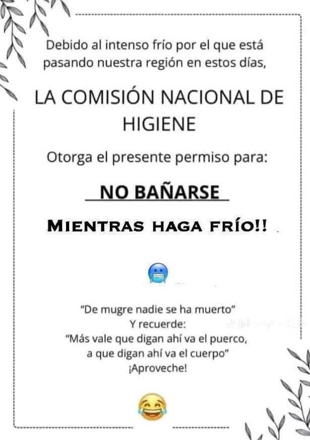 Fabiolacarolina tweet media