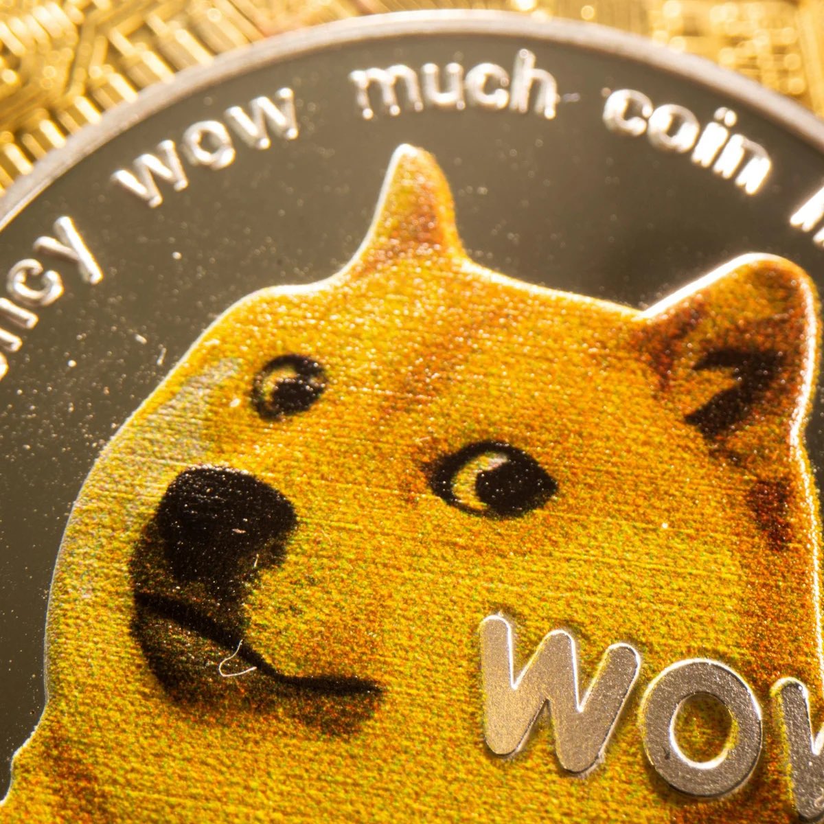 Mikibalu1's tweet photo. 🚨 TIPPING TUESDAY GIVEAWAY 🚨

I’m giving away 8 $DOGE + 2 Baby DAYC NFTs to my followers (HUGE thanks to @070guy for the NFTs!)
10 winners total!

How to enter:
•  Reply with your MyDoge,Spooky Doge or doggy market address!

Winners announced next Tipping Tuesday! Good luck frens 🐕✨
#Dogecoin #Giveaway #TippingTuesday