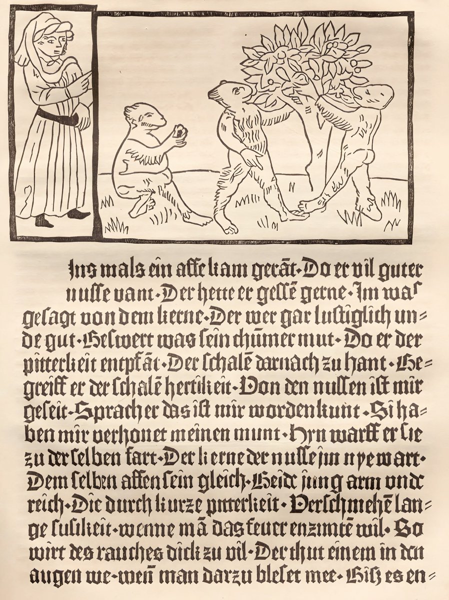 miskiamber's tweet photo. Biraz matbuat, biraz yayıncılık tarihi. Sevdiceklerimiz.

İlk fotoğraftaki harita, İskenderiyeli Ptolemaios’un, Batlamyus’un, Geographia’sının (Geographike Hyphegesis) 1482’de İtalyan hümanist Francesco Berlinghieri tarafından dönemin modern harita teknikleriyle yorumlanmış bir edisyonundan: “Tabula Prima de Asia”.
Meridyenler ve paraleller birbirine eşit uzaklıkta, harita kenarları ise trapezium denen yamuk şeklinde değil; dikdörtgen şeklinde.

Incunabulum adı verilen ilk-orta matbu kitapların örneklerinden biri bir de bu tabula. Evvela hemen aşağıya, “Pamphylia Mare” (“Pamphylia Denizi”) ile “Lyciaco Pelago” (“Lykia Büyük Denizi”) kısımlarına, baktık mı?
🌊
İkinci karedeki varak, tabiatıyla “ilk incunabulum” kabul edilen meşhur, kırk iki satırlık Gutenberg Kutsal Kitabı’nın (“Gutenberg Bible”, “Mazarin Bible”, “B-42”; literatürümüze “Gutenberg İncili” olarak geçse de Yeni Ahit ve gospel meselesinin dilden dile, kültürden kültüre aktarımındaki karışıklıklardan ötürü “Kutsal Kitap” demek daha doğru olabilir) bir Vulgata (Aziz Hieronymus/Jerome) nüshasının baskısı.

Üçüncü karedeki sayfa, teknik biraz daha oturmaya başladığı için “daha profesyonel ilk incunabulum”lardan (ilk-orta dönem diyelim) kabul edilen eserlerin birinden: Ulrich Boner, Der Edelstein, Baskı: Albrecht Pfister, 1461.

Gelelim bu yazının sebeb-i telifine:

Incunabulumlara (çoğulu incunabula) bu ismin verilmesinin hikâyesi çok tatlı. Latincede “kundak bezi”, anlamına geliyor incunabulum, daha sonra aktarma ile “beşik” anlamını alıyor. Kronolojide ise bu şekilde isimlendirilen kitaplar “1501’den önce basılmış olanlar” (bkz. Jean-Claude Carrière) şeklinde konumlandırılıyor.

Gutenberg, 1450’lerde hareketli metal harfleri kullanınca matbaa, maddeten ve teknikte emeklemeye başlıyor. 1501’e kadar izlediğimiz aralık ise, tabiri caizse, büyüme dönemi oluyor matbaanın. Yani işte bu dönemler, matbaanın henüz “kundak”ta olduğu zamanlar.

Bundan sonra ise matbaacılığın teknikte o dönemde kemale ermeye başladığının kabul edildiği aralık geliyor ki “modern baskı” addediliyor artık eserlerin baskıları. Berlinghieri’nin haritası gibi eserlerden bahsedilirken “klasik haritacılığın modern tekniklerle geliştirilmiş versiyonu” denmesinin sebebi de bu. Zaten Berlinghieri’nin hâmisi de Floransa Rönesansı’nın önemli isimlerinden Cristoforo Landino’ydu.

Bu noktada incunabulumların el yazması olduğuna dair yanlış bir konumlandırma düşünülebiliyor. İşte öyle değil: Bunlar, nasıl diyelim, hâlâ yazma tekniklerine meyleden, onlara öykünür gibi duran (zaten yeni teknikler, henüz gelişmekte olduğundan, el yazmalarını taklit etmek durumunda) eserler.

“Matbu” kisveye bürünmüş tipografiler ve sayfa düzenleri yok daha. Dizgiler, gotik fontlarla yapılıyor; “mizanpaj” (kasıtlı anakronizm burada isteğim) kodeks dediğimiz dinî metin külliyatının o el yazması dekorunda hâlâ. Mesela inisiyaller, baş harfler, genellikle elle boyanıyor ya da rubrikler (vurgulanmak istenen kısımlar, bir şekilde bölüm başlıkları, ki genellikle kırmızı ile belirtildiğinden bu adı -“kırmızı aşı boyası”- almıştır) sonra ekleniyor dizgiye.

Yani evet, teknik gayet yeni ama uygulamada daha manuel müdahaleler söz konusu. Henüz sayfa düzeni tam olarak sadeleşmemiş, Latinize fontlar yaygınlaşmamış. “Adımlıyor”dur yani incunabulumlar. Nereye mi? Elbette bütün antikitenin “re-“ ön ekiyle dünyalarımıza “çağrıldığı” Rönesans’a.

İtalya’nın medâr-ı iftiharı, Trieste’li power metal “hâmi”si Rhapsody of Fire’ın çılgın riff’leri ve fantastik öyküleri, sanki bizlere adı geçen tüm deli-dâhilerin “ateş fırtınaları”nı salık verirmişçesine gelsin buraya öyleyse.

https://t.co/BmgYrAjP0Y