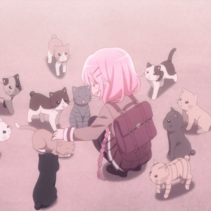 aria ♡ tweet media