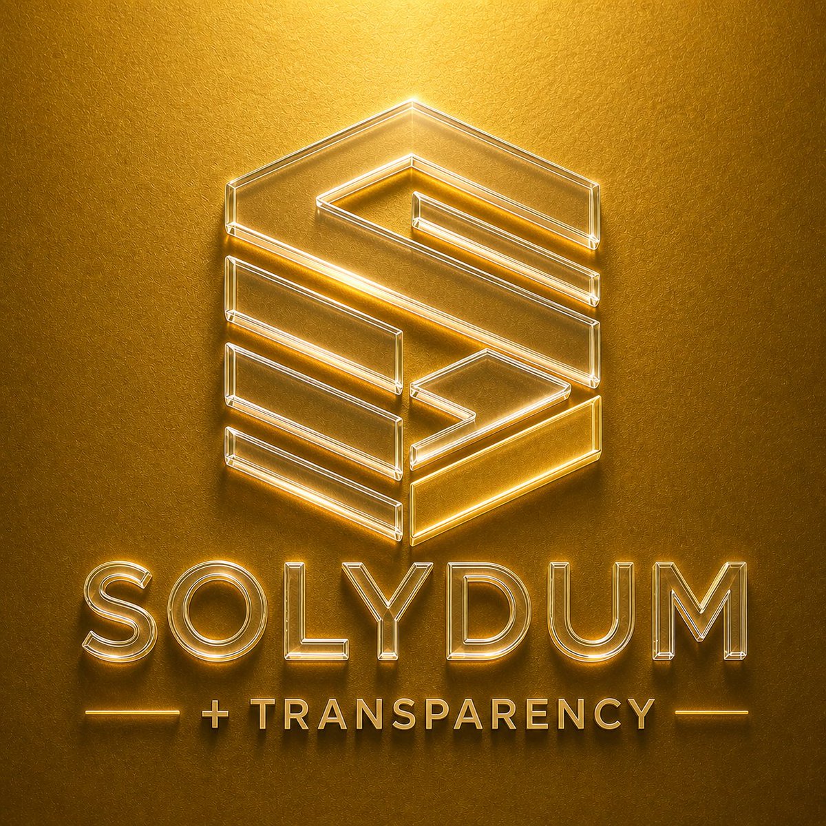 Solydum tweet media