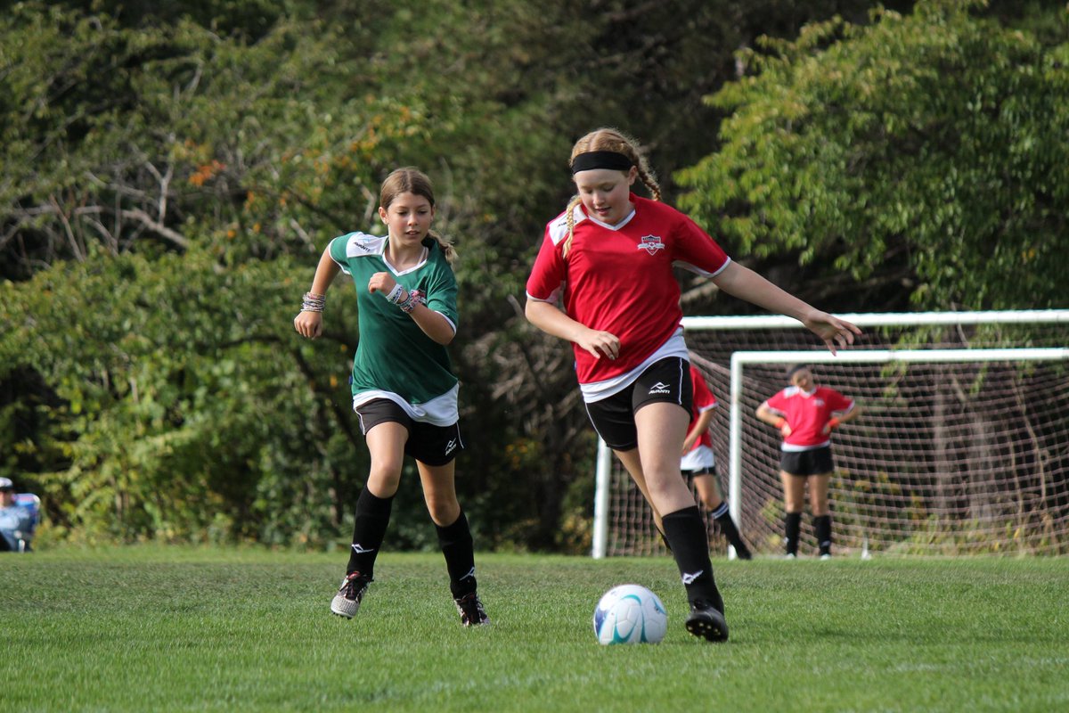 Toronto High Park FC tweet media