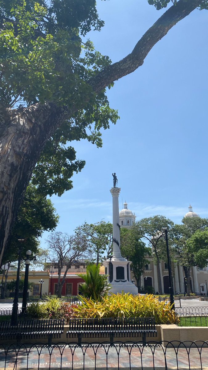 Medio centro de #Valencia SIN Luz, algunos negocios trabajando como pueden con una plantica pequeña que hace más ruido que el coño, el sol, el calor🫠