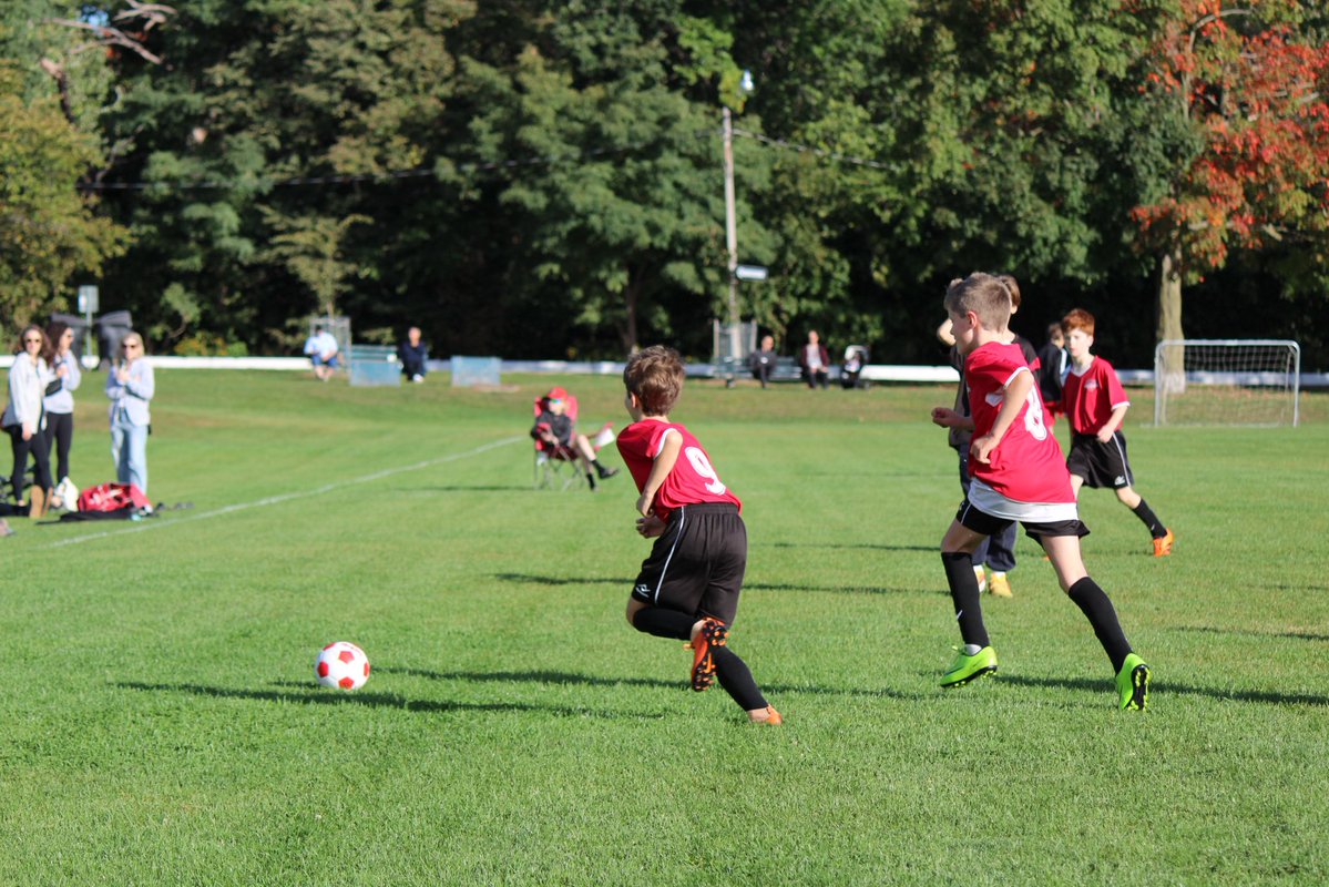 Toronto High Park FC tweet media