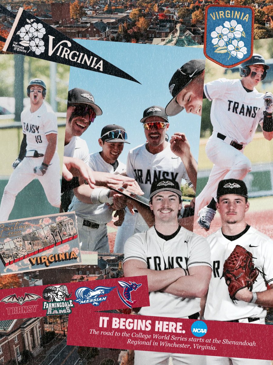 Transy Sports tweet media