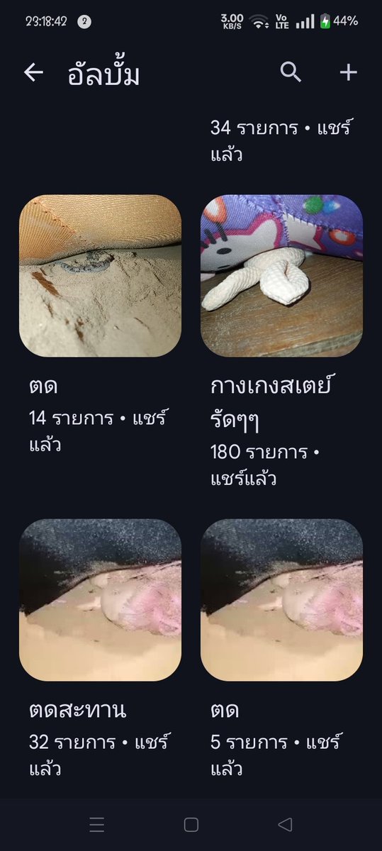 ตดใส่กางเกงสเตย์ ตดใส่ตุ๊กตา ตดจริงไม่ได้เล่น tweet media