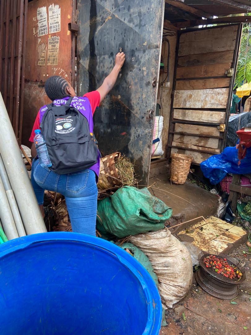 UNFPACameroon's tweet photo. Forget the noise. Cameroon’s 4th General Population & Housing Census is a masterclass in Technical Sovereignty. This operation—integrated with an agricultural module—is a landmark success for African statistical engineering. 📊📷 #CameroonCensus #DataForDev https://t.co/093t4jlZNe