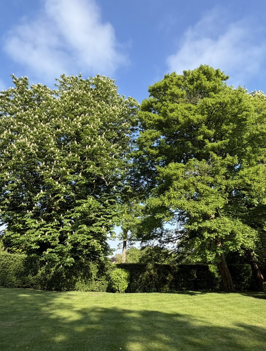 rebecca5key's tweet photo. Evening ππΌ
Well not too much to report for #moveinmay π¬
1.8 miles of a local walk plus some laundry / dancing & a bit of tidying
Better than nowt π€·π»ββοΈ
How did you do?
@julieanndale
@BexHeadTeacher
@Lynne22334
Trees looking splendid #TreeClub https://t.co/EqcjYNxmXf