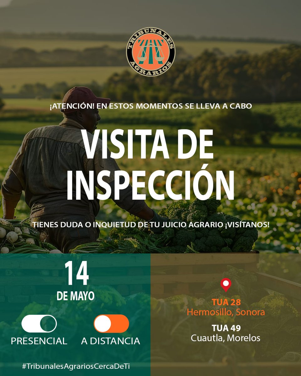 TAgrarios's tweet photo. 🔎Supervisando la #JusticiaAgraria🔍
Esta semana se llevarán a cabo cuatro #VisitasDeInspección en distintos #TUAS:
14 de mayo:
🌱La Mgda. Presidenta Claudia Dinorah Velázquez González visitará el #TUA49 con sede en Cuautla, #Morelos.
🌱El Magdo. Alberto Pérez Gasca llevará a cabo la visita por vía remota al #TUA28 con sede en Hermosillo, #Sonora.
15 de mayo:
🌱La Mgda. Presidenta Claudia Dinorah Velázquez González visitará el #TUA18 con sede en Cuernavaca, #Morelos.
🌱El Mgdo. Guadalupe Espinoza Sauceda realizará la visita por vía remota al #TUA22 con sede en Tuxtepec, #Oaxaca.
Estas acciones contribuyen a garantizar una justicia agraria más pronta, cercana y eficiente.
#TribunalesAgrariosCercaDeTi🌾